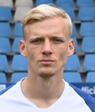 Saulo Decarli
