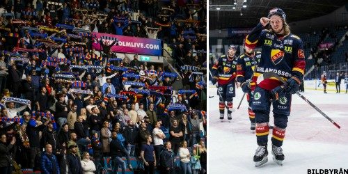 Dyster Trend For Djurgarden Hockey Djurgarden Svenskafans Com Av Fans For Fans