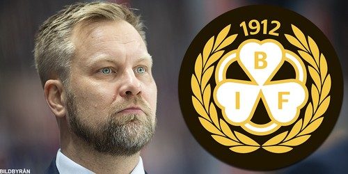 Brynäs: Krönika: Ett finskt lejon kan vara det rätta