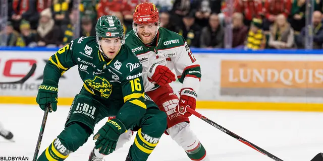 Björklövenredaktionen analyserar lag 1-6: ”Kan bli en rolig vår"