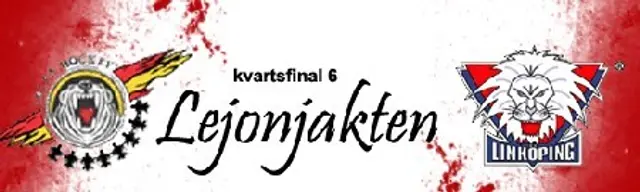 Inf&ouml;r Lule&aring; - Link&ouml;ping