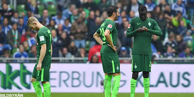 Werder Bremen - Mainz 05: 2-2