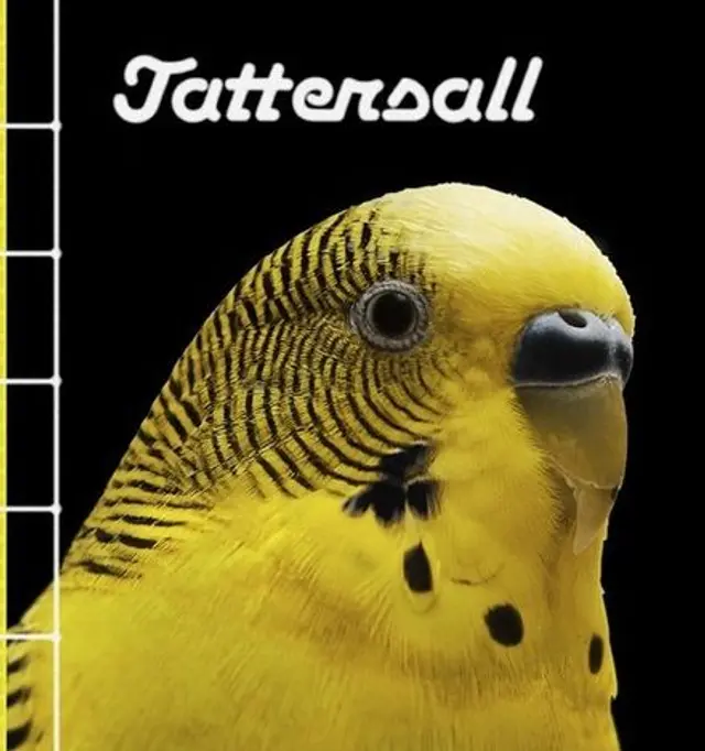 Tattersall nr. 2 - nu ute p&aring; f&ouml;rs&auml;ljning! 