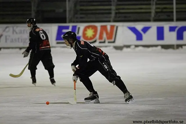 Stj&auml;rnligan