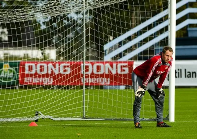 Danmarks manskap till VM