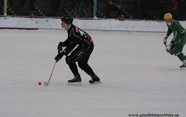 Stj&auml;rnligan