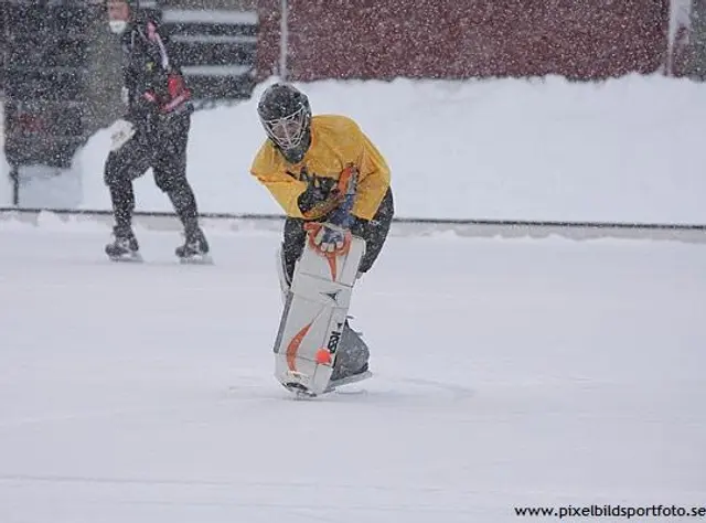 Stj&auml;rnligan