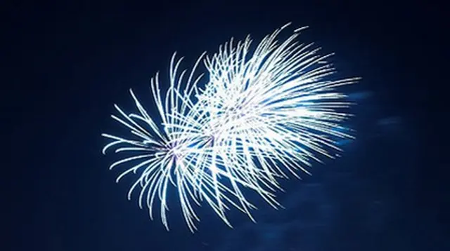 Gott nytt år!!!