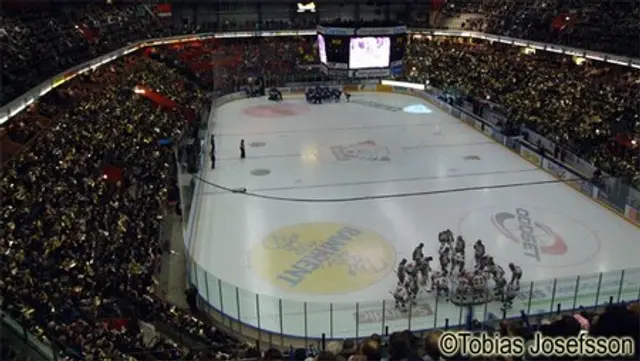Delta i Hockeyzons DreamTeam-liga