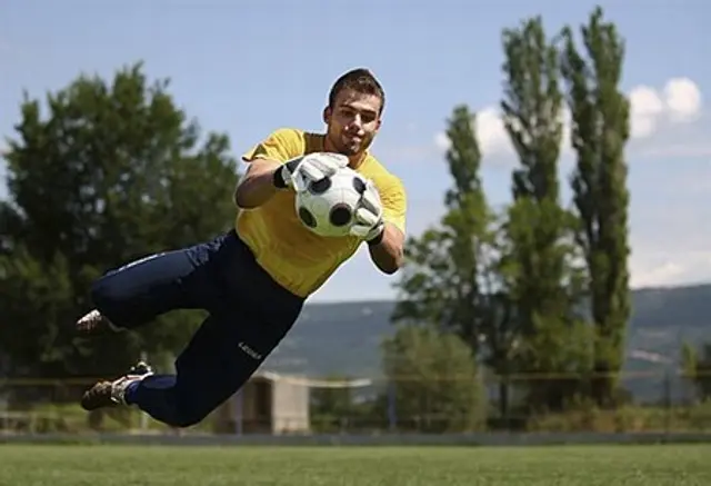 Božidar Radoševi&#263; p&aring; l&aring;n till Željezni&#269;ar