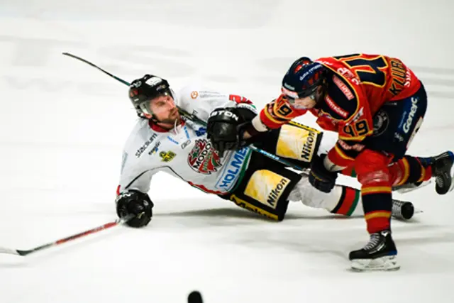 Djurgårdens stjärnback återvänder