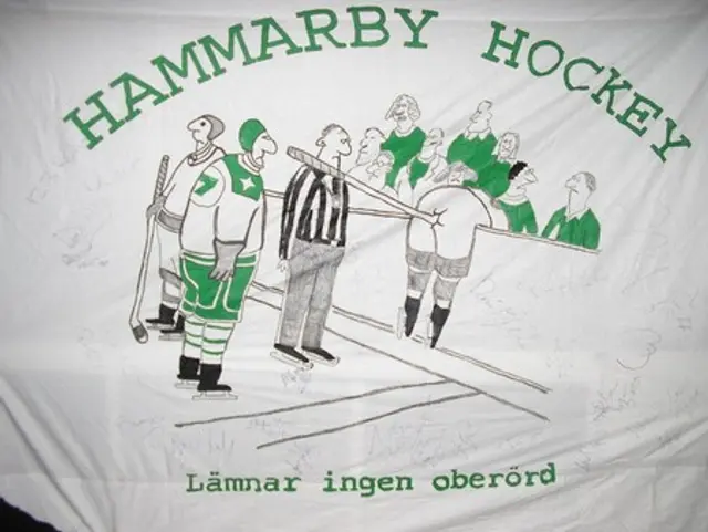 Kallelse till extra &aring;rsm&ouml;te i Hammarby IF Ishockeyf&ouml;rening