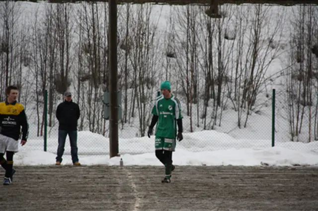 Träningsmatcher 2010