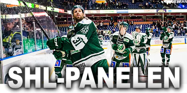SHL-panelen: ”En profil som behövs i SHL”