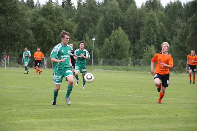 Träningsmatcher 2013