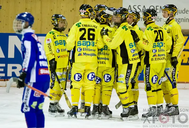 Inför Elitserien 2010/2011: Vetlanda satsar främst för framtiden