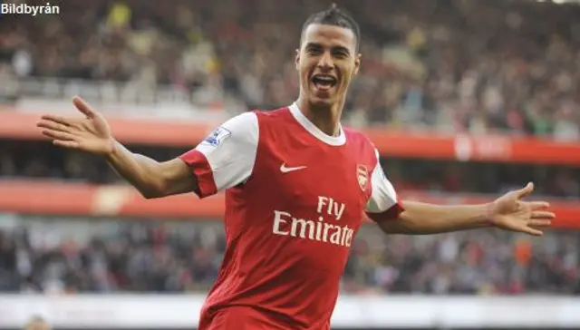 Marouane Chamakh flyttar till Crystal Palace