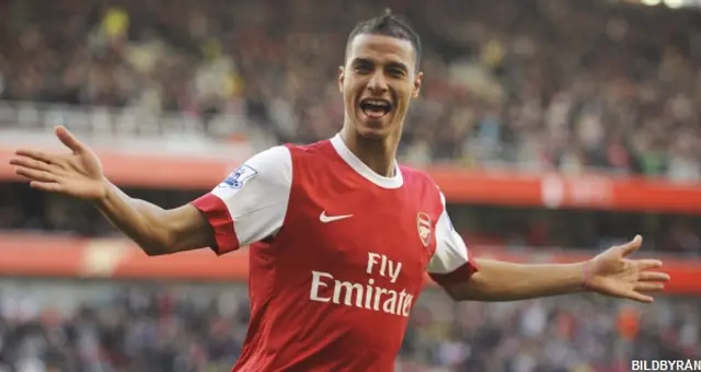 Marouane Chamakh