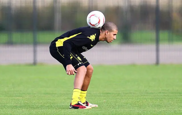 Mohamed Zidan snart tillbaka