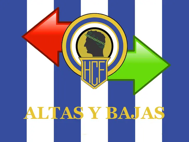 Altas y Bajas 2011: Diarra eller Annan?