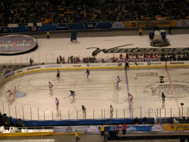 Winter Classic: Ur en supporters perspektiv