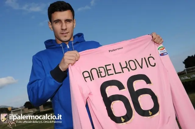 66. Siniša Andelkovi&#263;