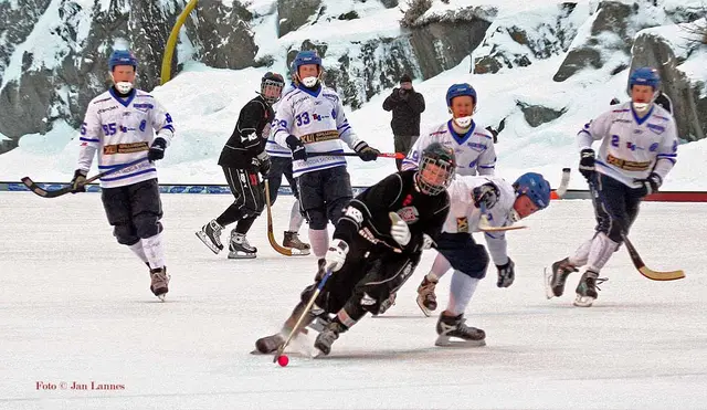 Bandyns nationaldag nalkas. Inför Norrtelje - Helenelund