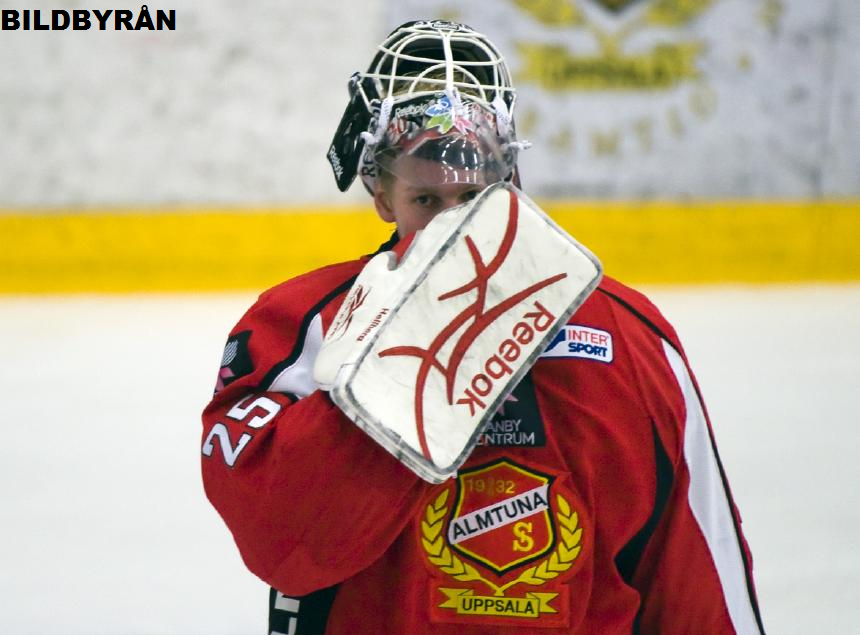 Hellberg till Brynäs?