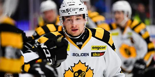 Uppgifter: Brynäs värvar Adam Pettersson