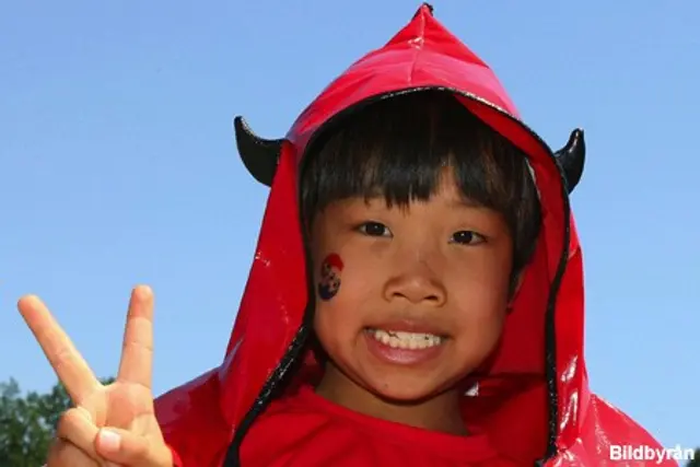 Sydkorea på Svenskafans