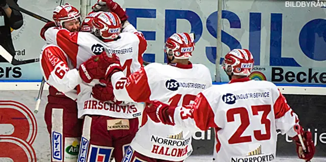 Hockeyzons expertpanel: ”Timrå är tveklöst svagast i Elitserien”