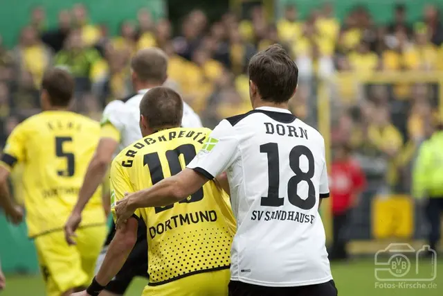 Spelarbetyg: Sandhausen - BVB