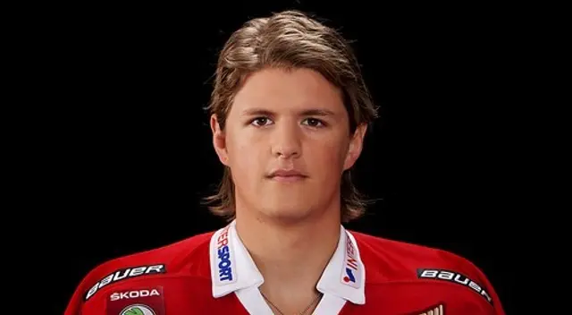 Viktor Hertzberg