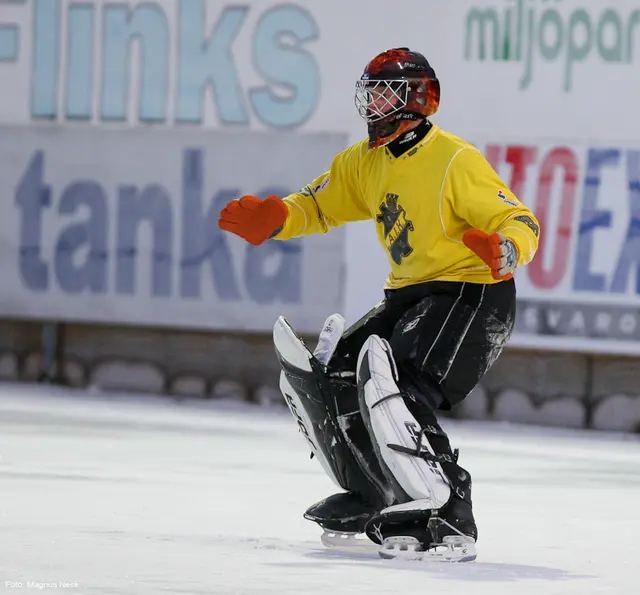 Erik Hägglund, målvaktsprofil i AIK Bandy Herrar