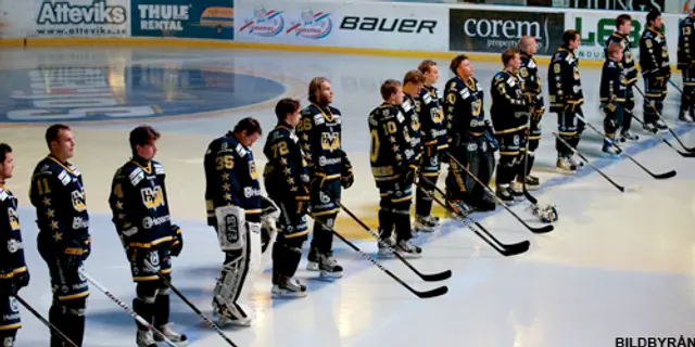 Hockeyzons expertpanel: ”Finns dubbel revanschlusta i HV”