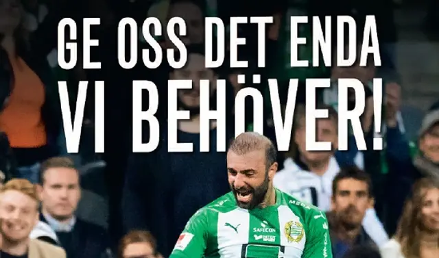 Hammarbyismen - Det blev en årskrönika