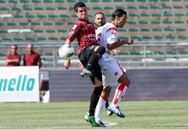 Bari-Nocerina 1-1: men Auteri är inte nöjd