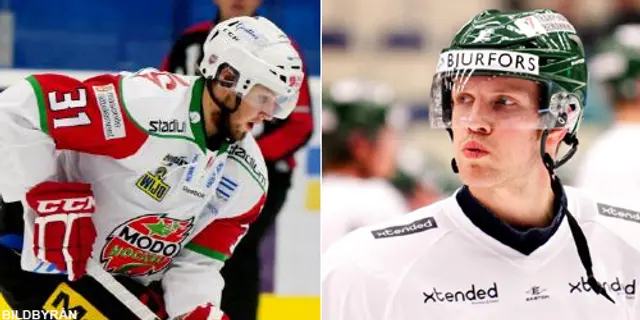 Spelarna i Elitserien: Fasth, Johansson och Davidsson bäst – Axelsson och Sjöström har floppat