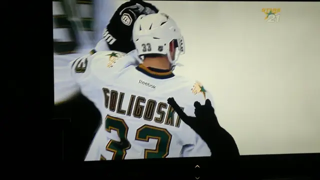 Dallas Stars kattfan