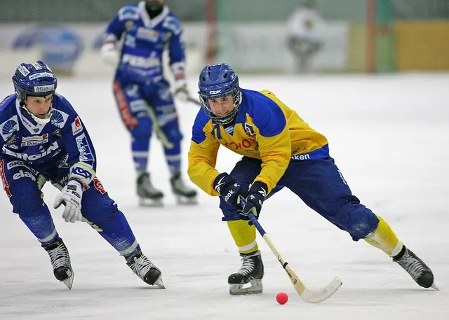 VM spelare fr&aring;n Edmonton