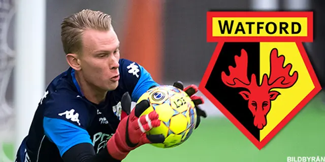 Pontus Dahlberg klar för Watford?