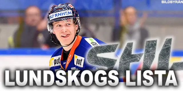 Lundskogs Lista: Godbitarna från grundserien