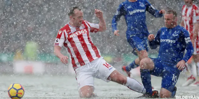 Stoke-Everton 1-2