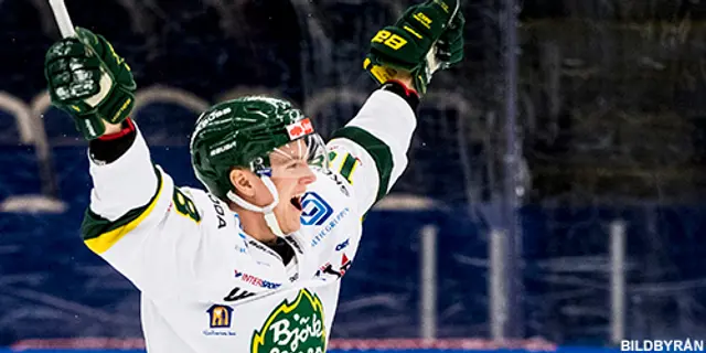 Krönika: Kan Björklöven återvända till toppen? 