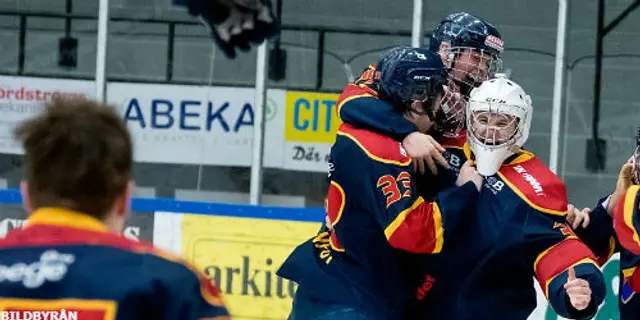 DIF-trion spås väljas i NHL-draften