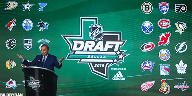 Red Wings, Rangers och Islanders blev draftens stora vinnare