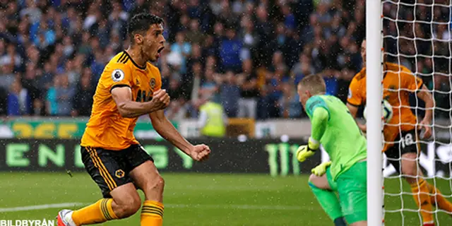 Matchrapport: Wolves-Everton 2-2