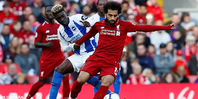 Inför: Brighton - Liverpool