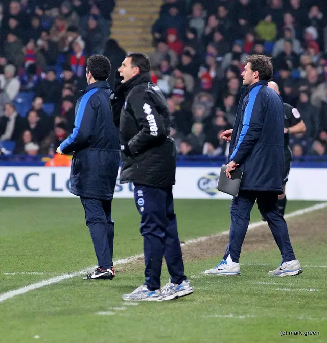 Crystal Palace förnedrat på Ashton Gate