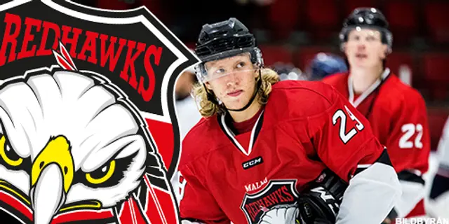 SvenskaFans rankar SHL: 11. Malmö